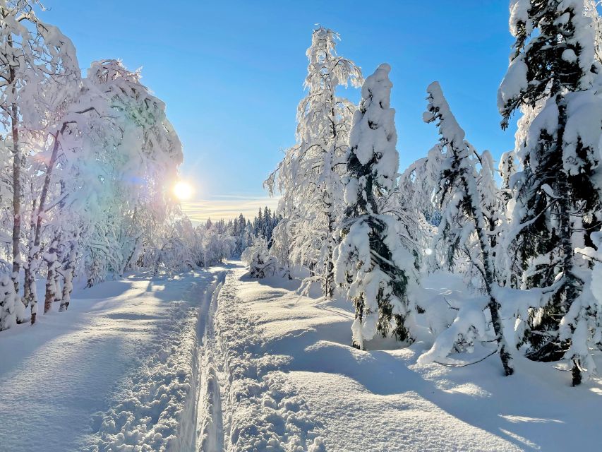 From Oslo: Oslomarka Forest Guided Snowshoeing Tour - Your first steps on snowshoes