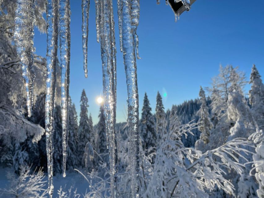 From Oslo: Oslomarka Forest Guided Snowshoeing Tour - A 2.25-hour walk through Oslomarka