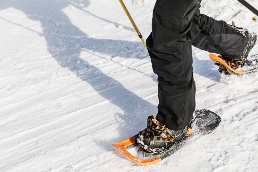 From Oslo: Oslomarka Forest Guided Snowshoeing Tour - Who will enjoy this Oslo winter outing?