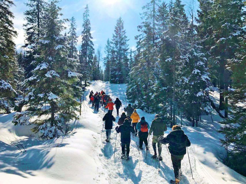From Oslo: Oslomarka Forest Guided Snowshoeing Tour - Should you book the Oslomarka snowshoe tour?
