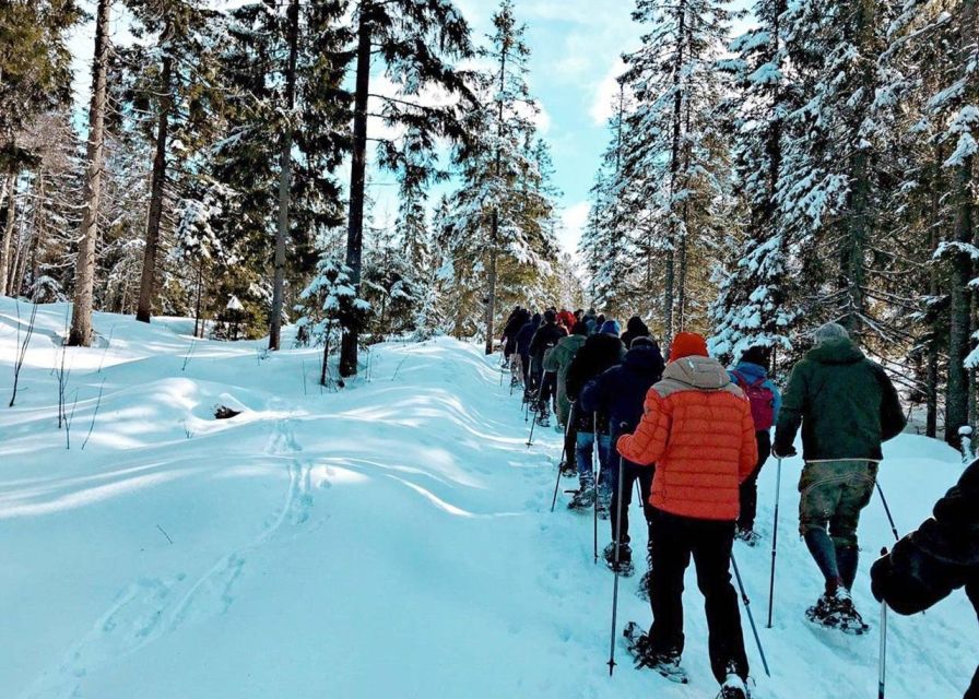 From Oslo: Oslomarka Forest Guided Snowshoeing Tour - Why the Frognerseteren metro ride matters
