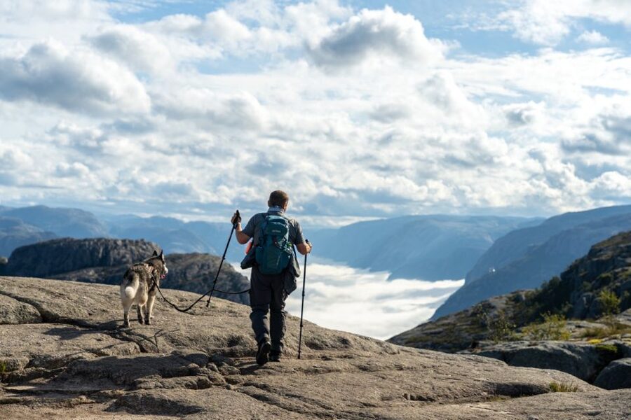 From Stavanger: Pulpit Rock Guided Hike with Pickup - Getting ready at the Pulpit Rock basecamp