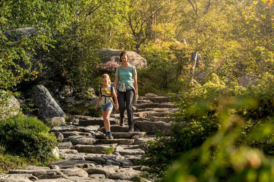 From Stavanger: Pulpit Rock Guided Hike with Pickup - Reaching the 604-meter Pulpit Rock