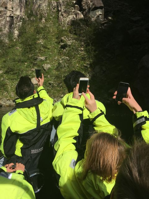 From Stavanger: RIB Tour to Lysefjord - Wildlife sightings depend on luck