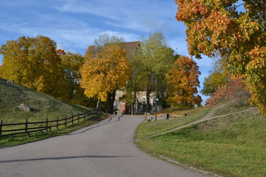 From Stockholm: Uppsala and Sigtuna Viking Sites Tour - Gamla Uppsala and the burial mounds
