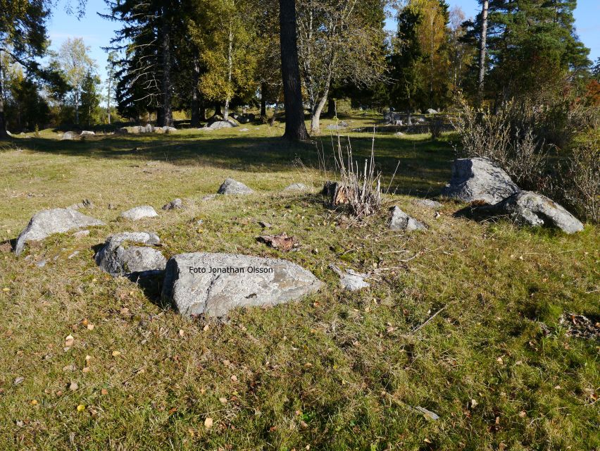 From Stockholm: Viking Culture and Heritage Small Group Tour - Price, timing, and what your $138 covers
