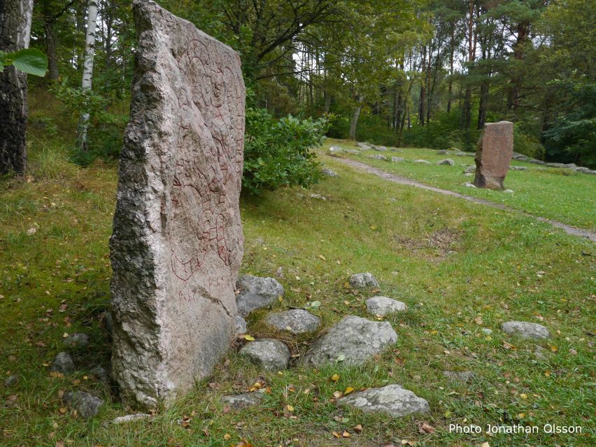 From Stockholm: Viking Culture and Heritage Small Group Tour - Who will get the most from this outing