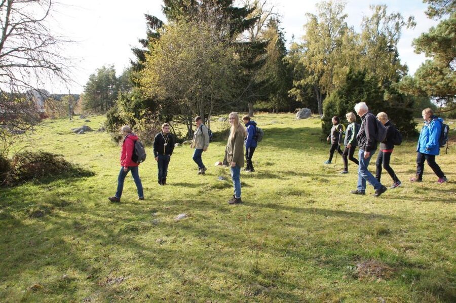 From Stockholm: Viking Culture Guided Tour with Transfer - Price, comfort, and who gets the best value
