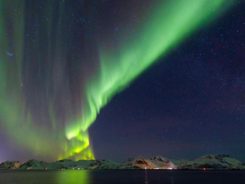 From Svolvær: Guided Northern Lights Tour by Van - Key points at a glance