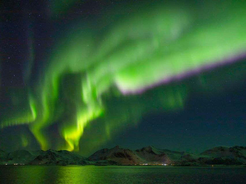 From Svolvær: Guided Northern Lights Tour by Van - Comfort, clothing, and the four-hour format