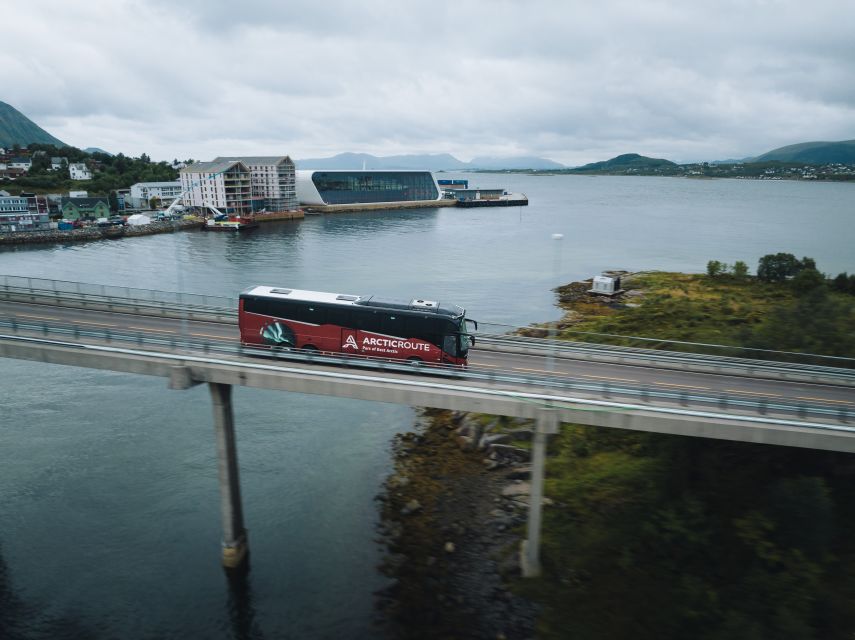 From Svolvær: Hurtigruten Cruise into Trollfjord - What this day from Svolvær is really about