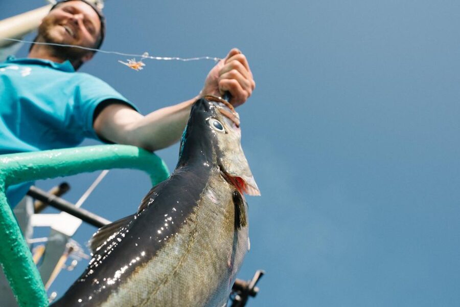 From Svolvaer: Lofoten Fishing Boat Cruise - What fishing feels like for a first-timer
