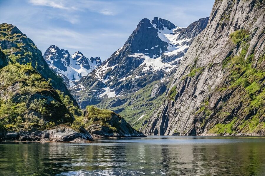 From Svolvær: Lofoten Islands Silent Trollfjord Cruise - Searching for white-tailed eagles