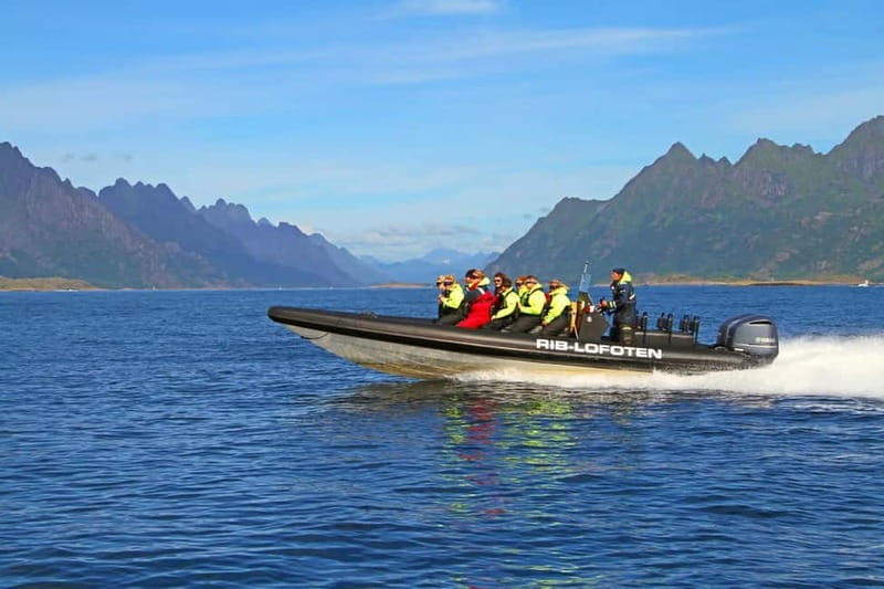 From Svolvær: Lofoten RIB Sea Eagle Safari Trollfjord Cruise - Mountains, bays, and beaches from the water