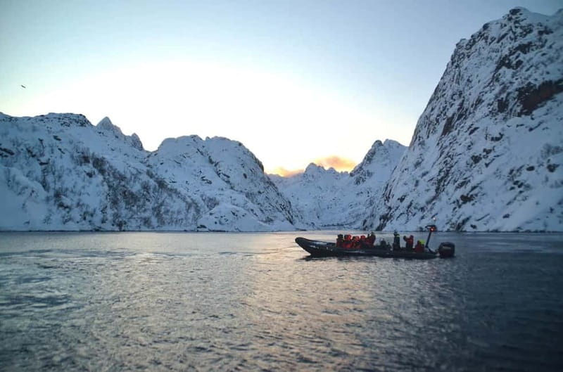 From Svolvær: Lofoten RIB Sea Eagle Safari Trollfjord Cruise - Who will enjoy this trip most?