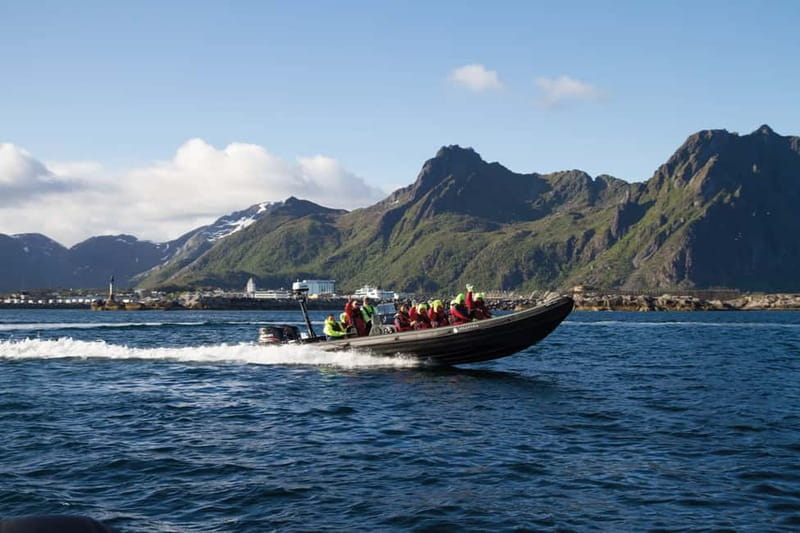 From Svolvær: Lofoten RIB Sea Eagle Safari Trollfjord Cruise - The thrill of the RIB ride