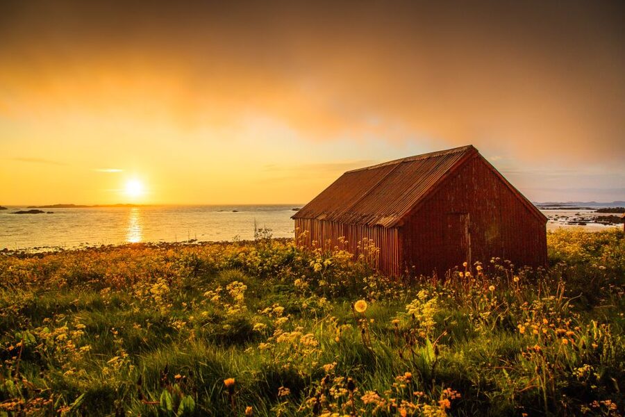 From Svolvær: Midnight sun tour with a photographer - Why the Lofoten midnight sun is worth chasing
