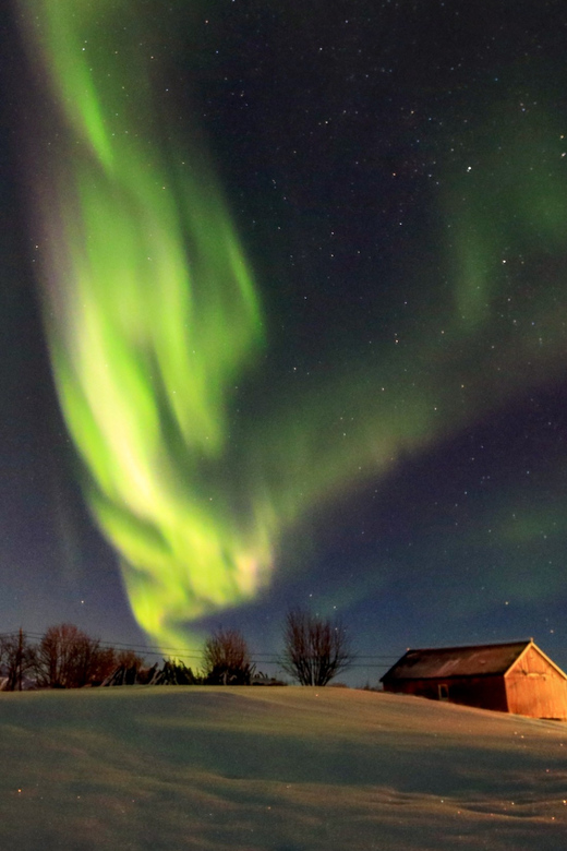 From Svolvaer: Private Northern Lights Search Trip - A private ride makes the search more flexible