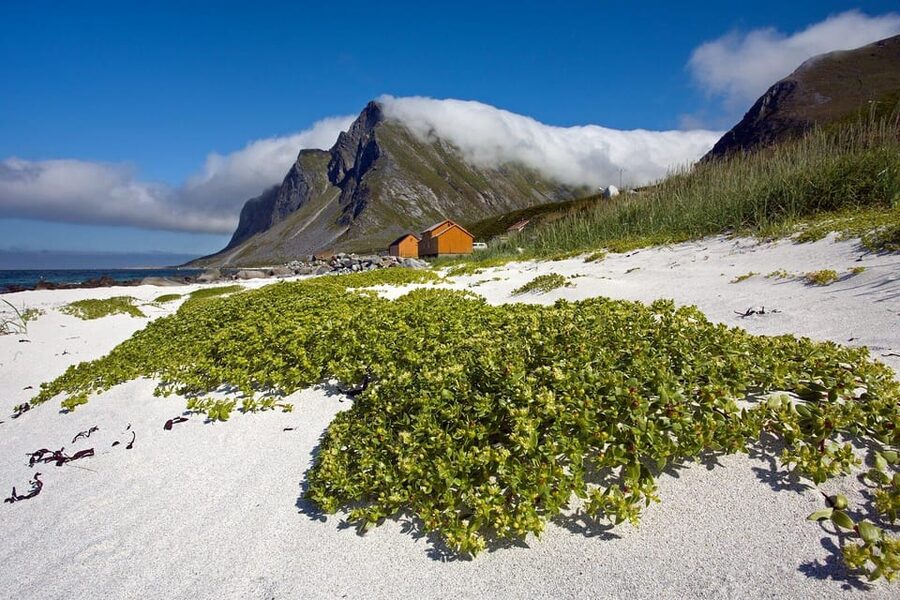 From Svolvær: Reine & Å Lofoten West Island Full Day Tour - Price, group size, and what you actually receive