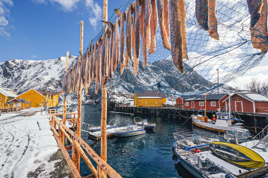 From Svolvær: Reine & Å Lofoten West Island Full Day Tour - The return drive and what seven hours really means