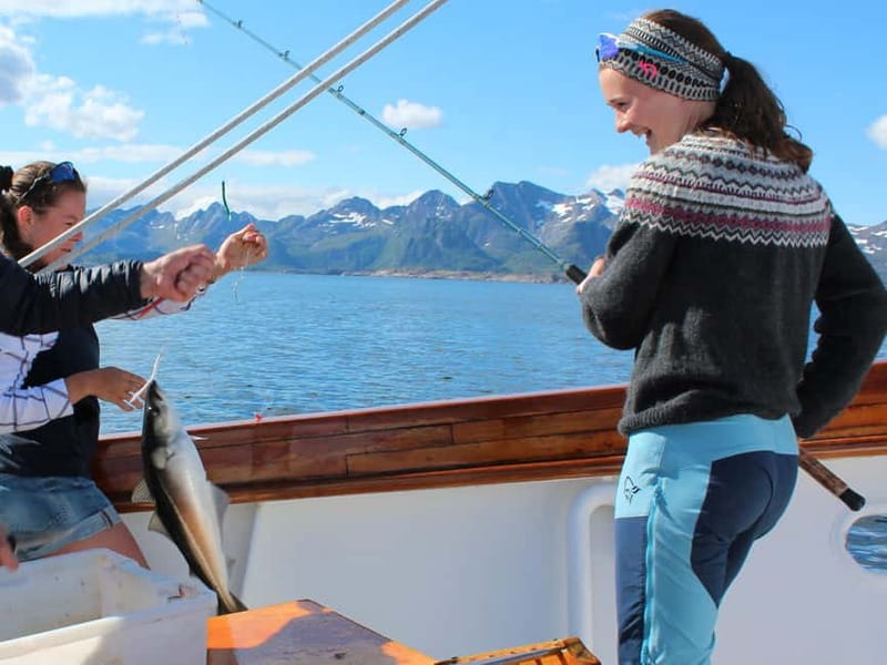 From Svolvær: Taste of Lofoten - Cultural Fishing Experience - Key points to know before you go