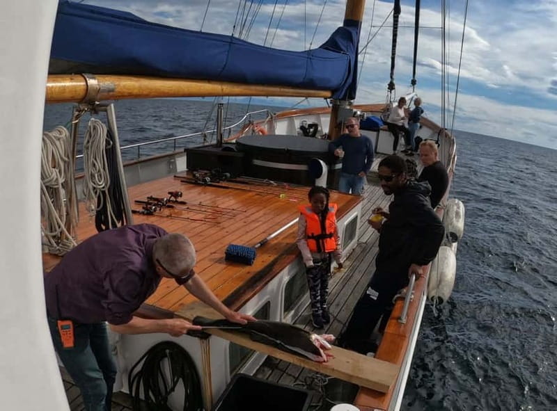 From Svolvær: Taste of Lofoten - Cultural Fishing Experience - Fishing in Vestfjorden, not just sightseeing