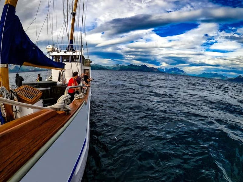 From Svolvær: Taste of Lofoten - Cultural Fishing Experience - The three-hour rhythm of the trip