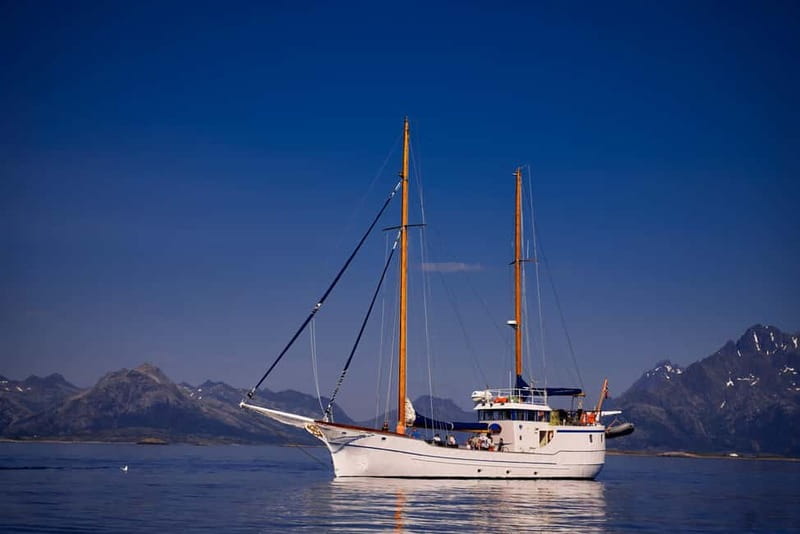 From Svolvær: Taste of Lofoten - Cultural Fishing Experience - What the price includes at $245