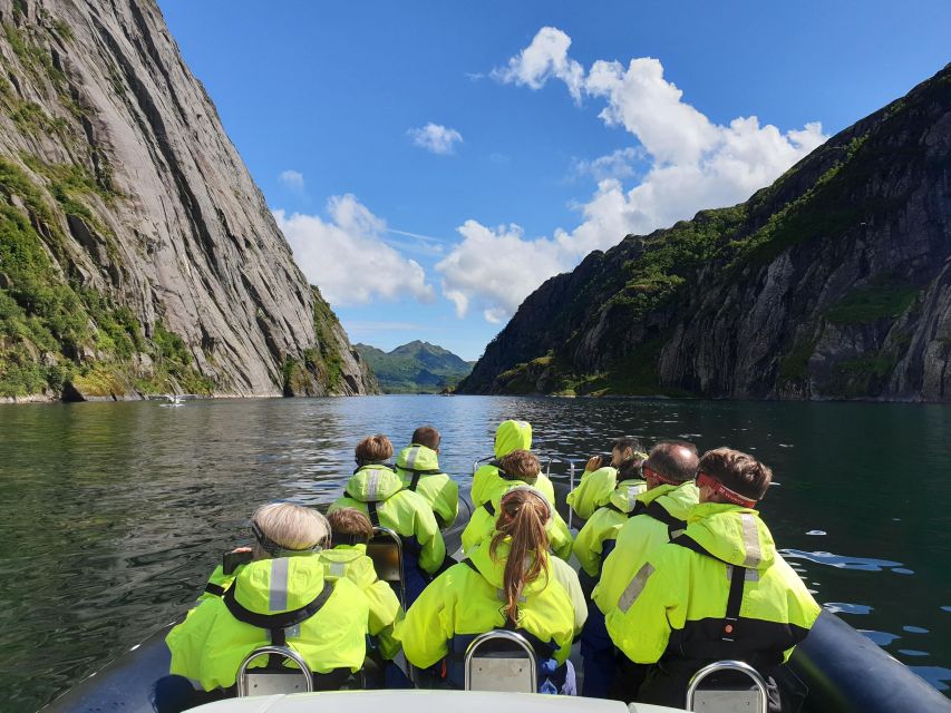From Svolvaer: Trollfjorden Wildlife RIB Cruise - Why Trollfjorden works so well from Svolvaer