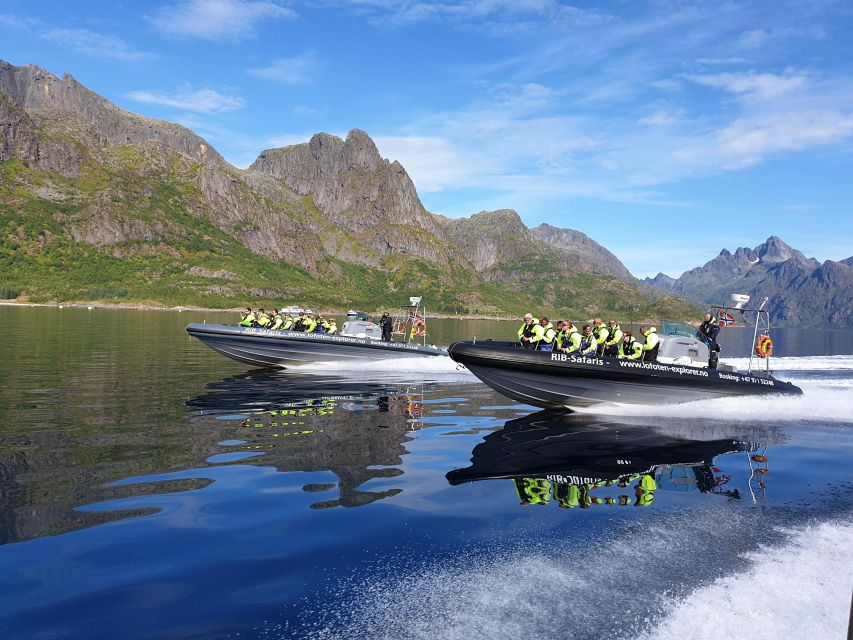 From Svolvaer: Trollfjorden Wildlife RIB Cruise - Trollfjorden, where the mountains close in