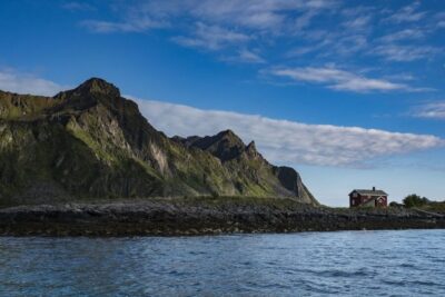Trollfjorden Wildlife RIB Cruise