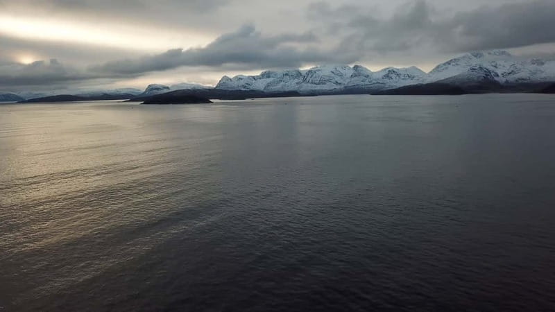 From Tromsø: All-Inclusive Whale & Orca Safari - The return to Tromsø