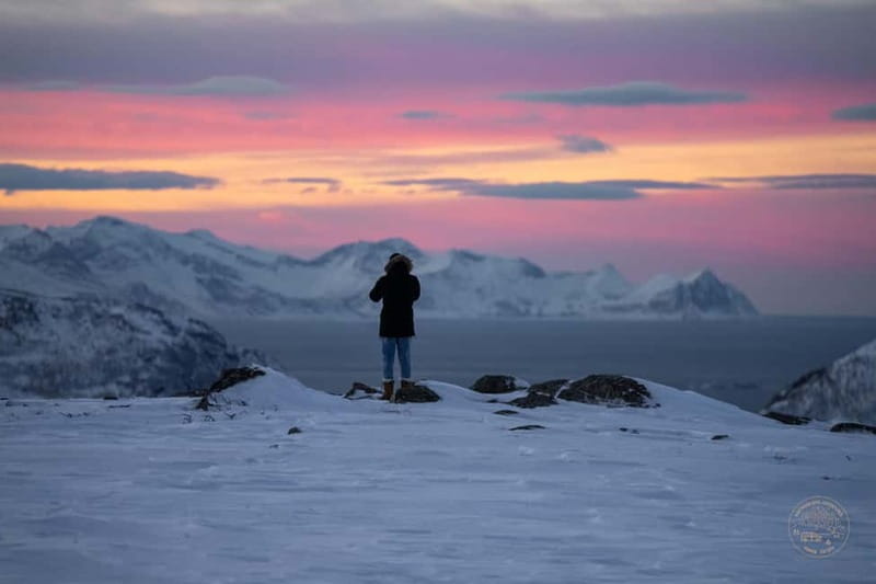 From Tromsø: Arctic Roadtrip: fjords tour with scenic picnic - Is $123 a fair price?