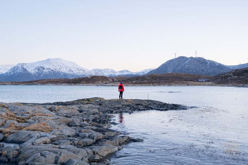 From Tromsø: Arctic Roadtrip: fjords tour with scenic picnic - Who should book this road trip?