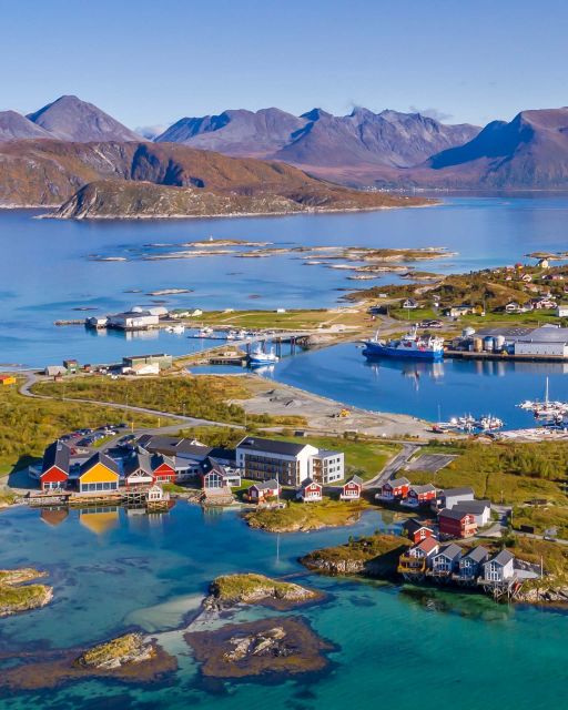 From Tromsø: Arctic Wildlife & Fjord Sightseeing Tour by Car - Sommarøy: beaches, fishing life, and open water