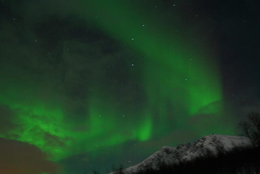 From Tromsø: Aurora Bus Tour with Snacks, Photos, and Drinks - FAQ