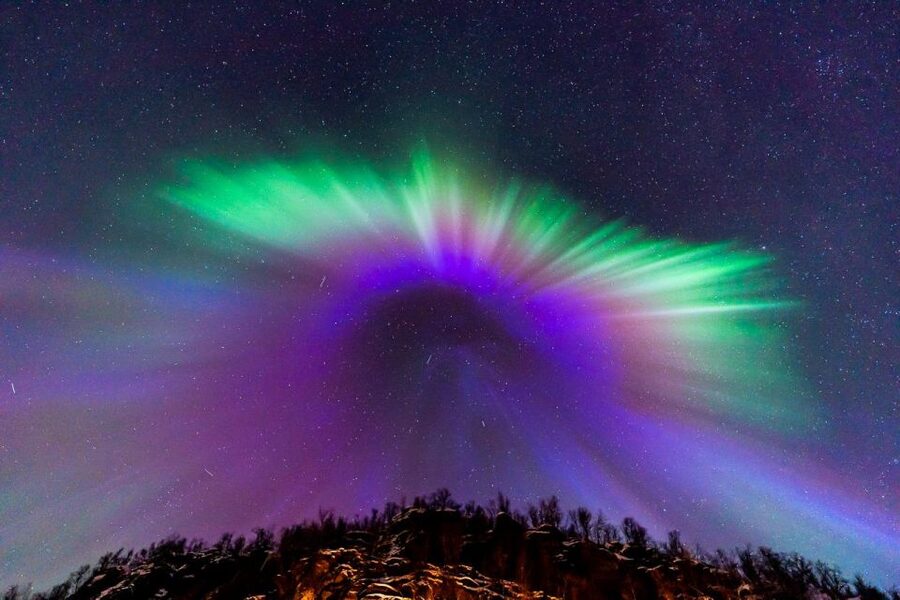From Tromsø: Aurora Minibus Chase with Portrait and Hot Meal - Key points to know before booking