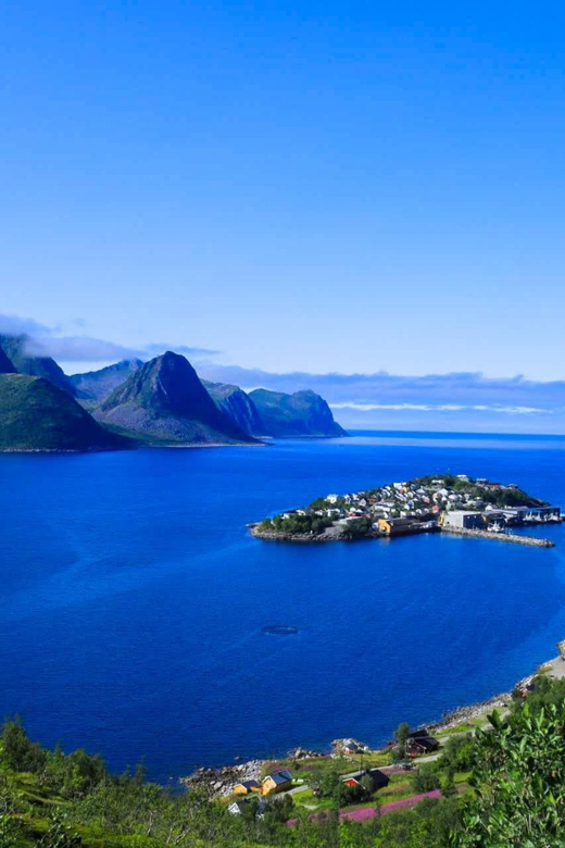 From Tromsø:（Chinese）Senja Day Trip - Bergsbotn’s high observation deck