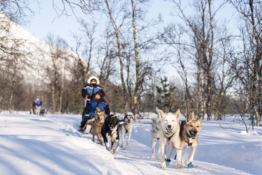 From Tromsø: Fun and Easy Dog Sledding Adventure - Meeting the Huskies After the Ride