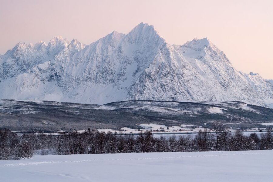 From Tromsø: Fun and Easy Dog Sledding Adventure - Tea, Cake, and a Sami Lavvu