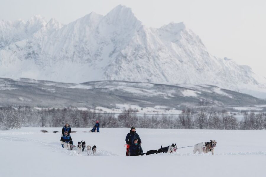 From Tromsø: Fun and Easy Dog Sledding Adventure - Is $282 a Fair Price?