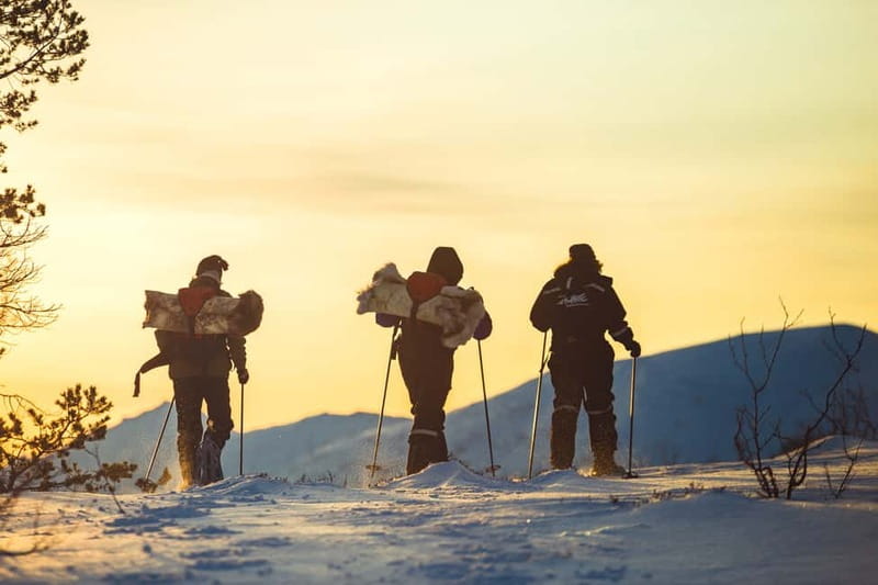 From Tromsø: Guided Husky Snowshoe Hike and Husky Camp Visit - Is $175 a fair price?
