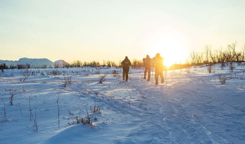 From Tromsø: Guided Husky Snowshoe Hike and Husky Camp Visit - A warm pause with berry juice and cookies