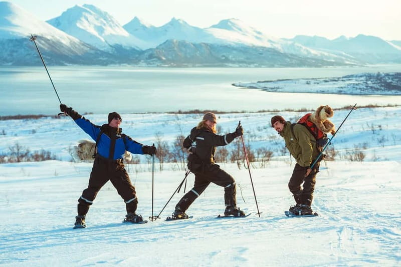 From Tromsø: Guided Husky Snowshoe Hike and Husky Camp Visit - Cake by the fire and time to ask questions