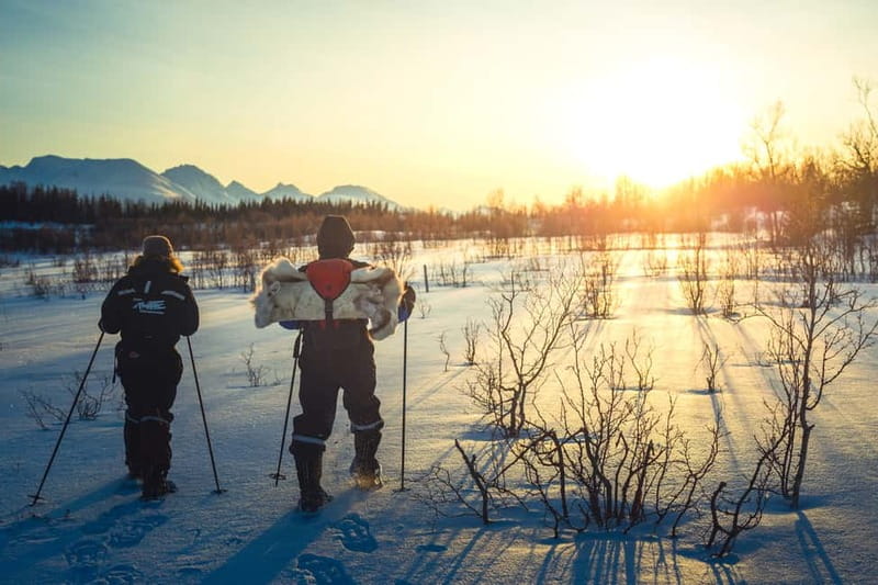From Tromsø: Guided Husky Snowshoe Hike and Husky Camp Visit - Meeting outside the Radisson Blu in Tromsø