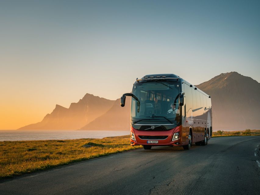 From Tromsø: Kayak trip with lunch and sauna at Sommarøy - Is the $244 price fair?