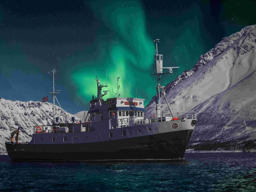 From Tromsø: Northern Lights Cruise on a Cozy Vintage Vessel - Key points to know before you book
