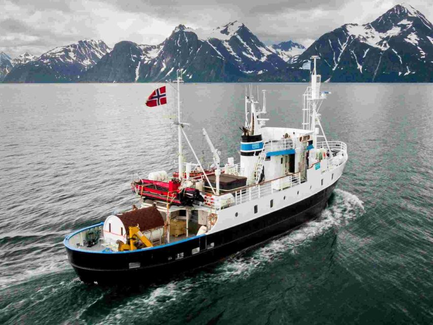 From Tromsø: Northern Lights Cruise on a Cozy Vintage Vessel - Starting at Full Steam Museum at 19:00