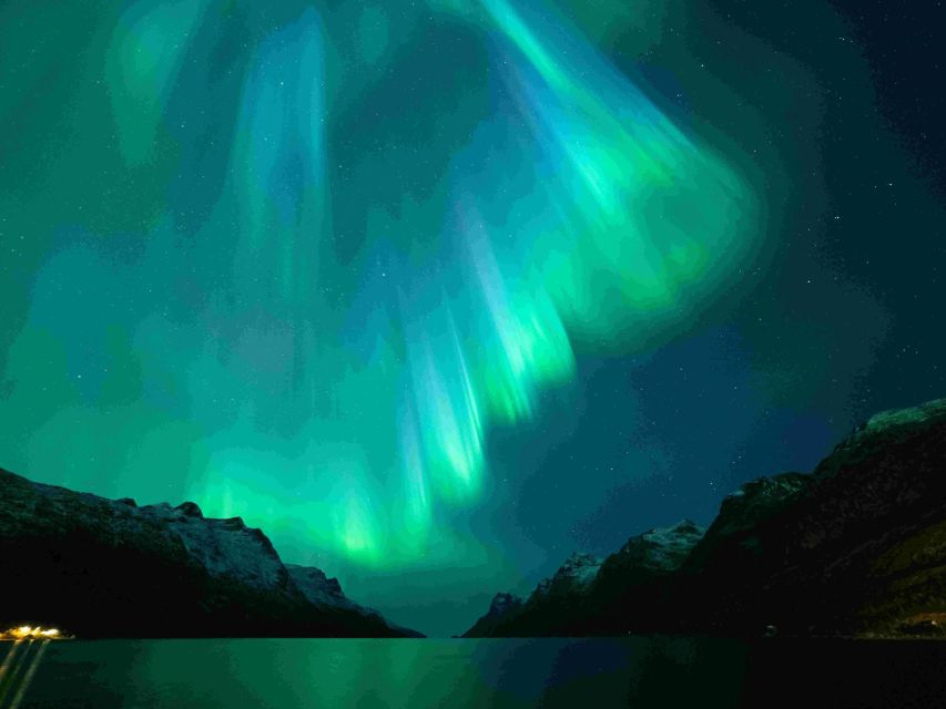 From Tromsø: Northern Lights Cruise on a Cozy Vintage Vessel - Is the $100 price fair?