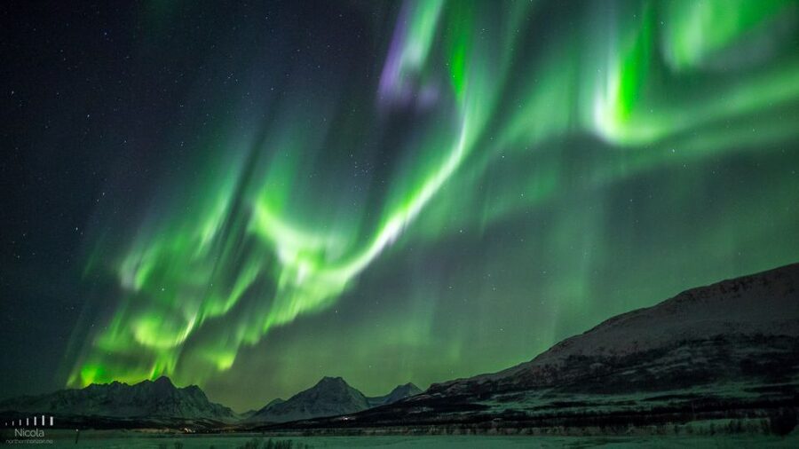 From Tromsø: Northern Lights Tour - The guides make the difference